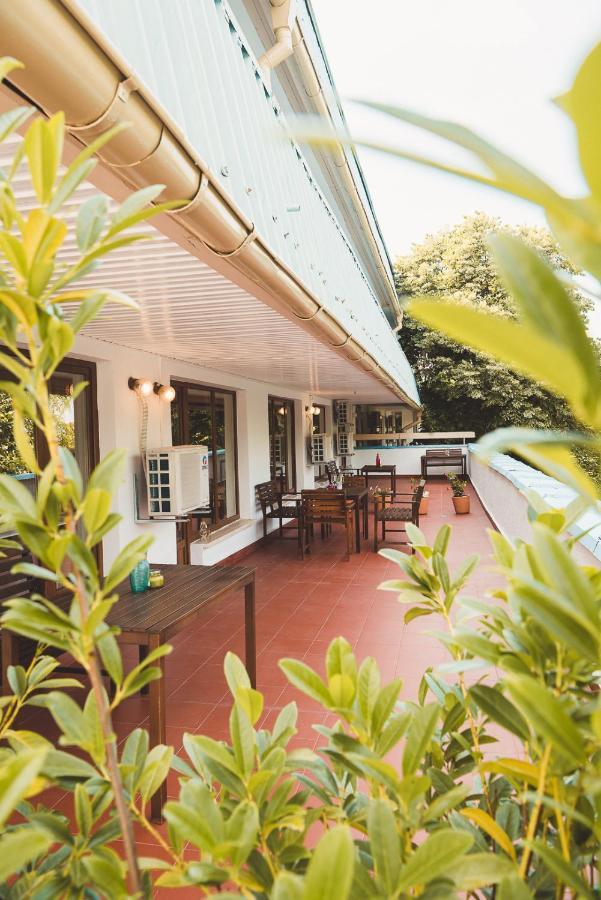 Отель Amadina Garden Лозенец Экстерьер фото